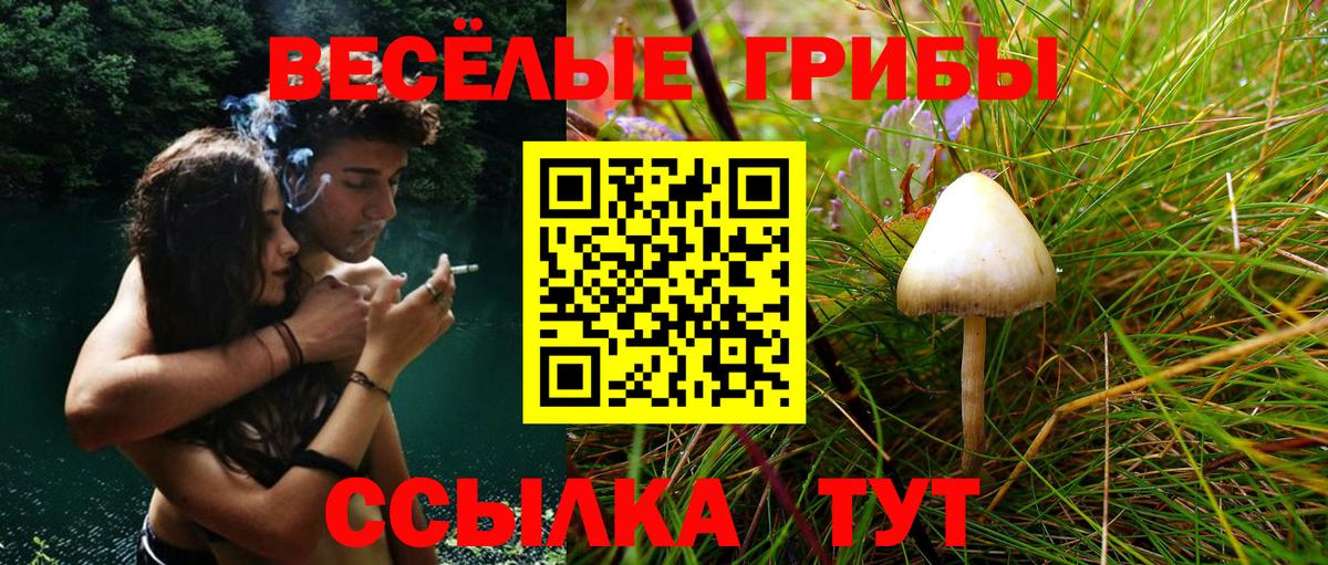Псилоцибиновые грибы мицелий  Вход с VPN  Зима 