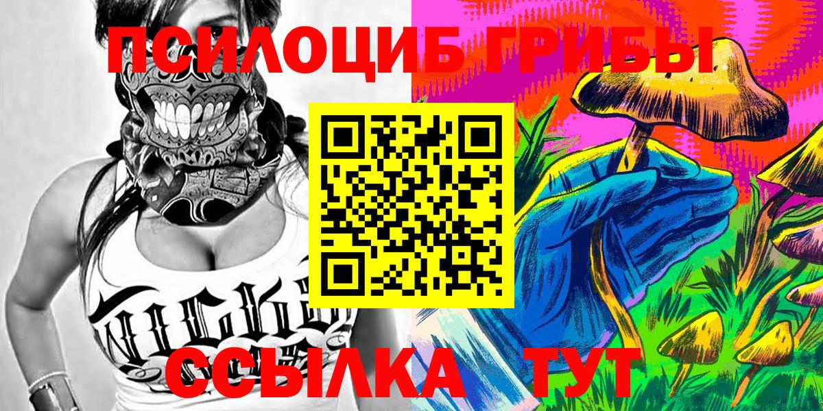 Галлюциногенные грибы мухоморы Зима